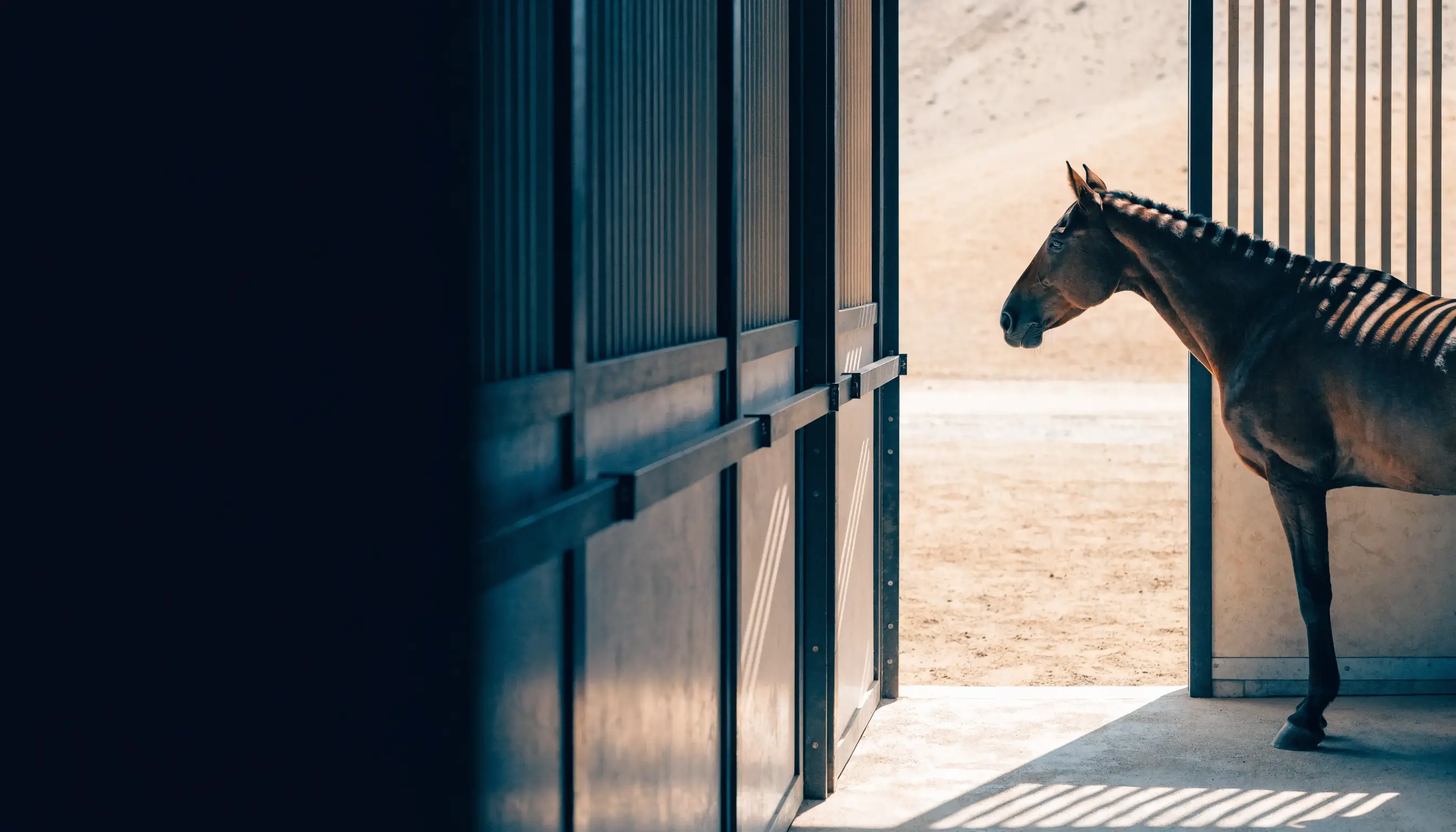 Premium ventilated horse stable representing climate-aware UAE stable care